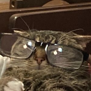 Meet your Posher, Alison